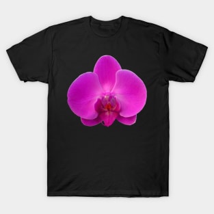 Orchid, Dorne Phalaenopsis T-Shirt